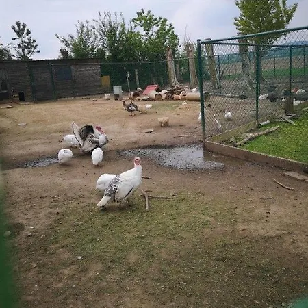 Kwakkelnest * Poperinge